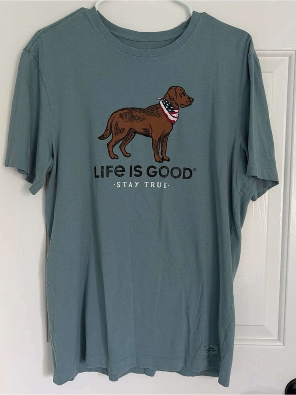 Life Is Good Slate Blue Tee with Brown Dog Graphic